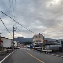 거제읍내시장 | 거제읍내시장 섬꽃축제 이벤트