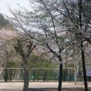 도전분교 이미지