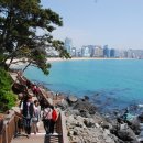 동백섬