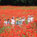 꽃그리고 이미지