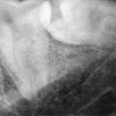 드림치주과치과의원 이미지