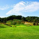 영동 일라이트CC 이미지