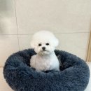 우기도기