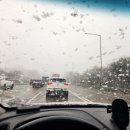 부경대학교 수산질병관리원 이미지