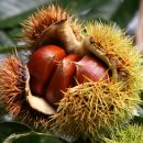 롯데모텔 이미지