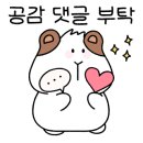 로뎀동물병원
