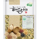 건강한 해담