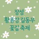 장성황룡강노란꽃잔치 축제장5 | 장성 황룡강 길동무 꽃길 축제 봄꽃구경
