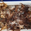 시락 소포마을 이미지