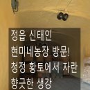 현미농장 | 정읍 신태인 현미네농장 방문!