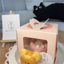 유케이크 | [협찬] 강아지 생일케이크 찾는다면? 댕위드유 수제케이크 후기