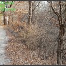 홍성읍 옥암3리마을회관 | (충남 홍성군토지(전)경매) 홍성군 홍성읍 옥암리 347-1 ○ 2019타경794 예상낙찰가