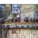 넝쿨다방 이미지