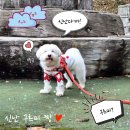 미소사료 이미지