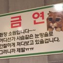 부영마차 이미지
