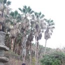 대륜동-3 이미지