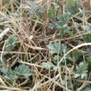 펜션33.3 이미지