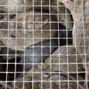 고기공장 - 부천시 오정구 고강로154번길 73 | 고기공장