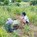 박득순미술관펜션 이미지