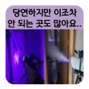 우성아파트 | 군산누수공사, 정확한 시공은 '이렇게' 해야 합니다.