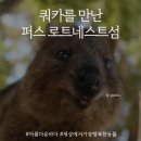 작은섬 1 | [공지] 호주 12월 여행 쿼카 로트네스트섬 1박 후기 / 페리 예약, 세상에서 가장 행복한 동물 쿼카 셀카...