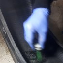 나라카센타 이미지