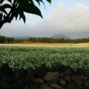 솔바우농장 이미지