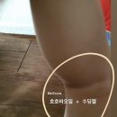 원더제이 이미지