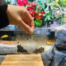 디.라떼(D.LATTE) | 동탄역 아이와 실내 나들이 디.아쿠아 롯데백화점 동탄점 다녀온 솔직 후기