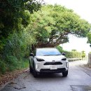 카렌트 | 일본 오키나와 렌트카 렌터카 추천 돌하루팡 오키나와 렌트 후기