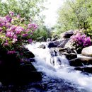 산너머 남촌 민박 이미지