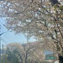 강동로4-4 이미지