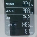 웰니스바디아카데미 | 성성동 에스테틱 아율린 뷰티 아카데미 바디순환관리다이어트