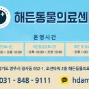 민락동물병원 이미지