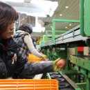 충주거점산지유통센터 이미지