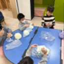 영아태권도 이미지