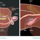 센텀동물병원 이미지