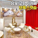브룩스캣슬 | 신상 고양이카페 부산 브룩스캣슬 방문 후기!