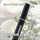 아이래쉬 박스 | [속눈썹 영양제] 코스노리 아이래쉬 틴팅 세럼 후기 | 속눈썹펌 후 마스카라 대용으로 써본 솔직 후기