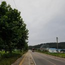 송해면-1 네이버블로그