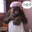 쑥고개사우나