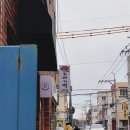 청도 | 2023 돼지여행(공개)-제주편(完)