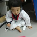 용인대 청목 mta 태권도 이미지