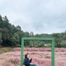 기와목장 이미지