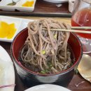 소바공방 롯데백화점 평촌점 | 범계역 맛집 소바공방 롯데백화점평촌점 돈까스 &amp; 소바세트 후기