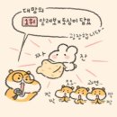 알레보 콜라보 포근하고 귀여운 토심이 담요