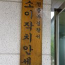 소이작치안센터 Daum카페
