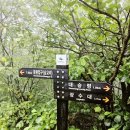 부원골야생화 | ⛰️ 설악산 서북능선 (장수대-대승령-안산-십이선녀탕-남교리)_24.07.23.(화)