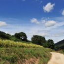 뜬봉샘농장 이미지