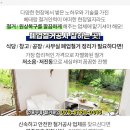 시영농장2 이미지